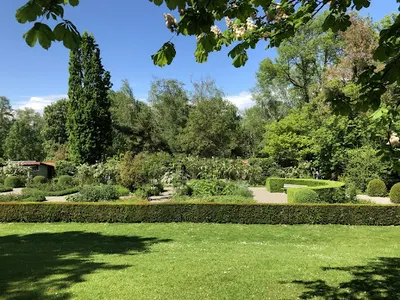 OGRODY I PORZĄDEK PAWEŁ SZYMECZKO